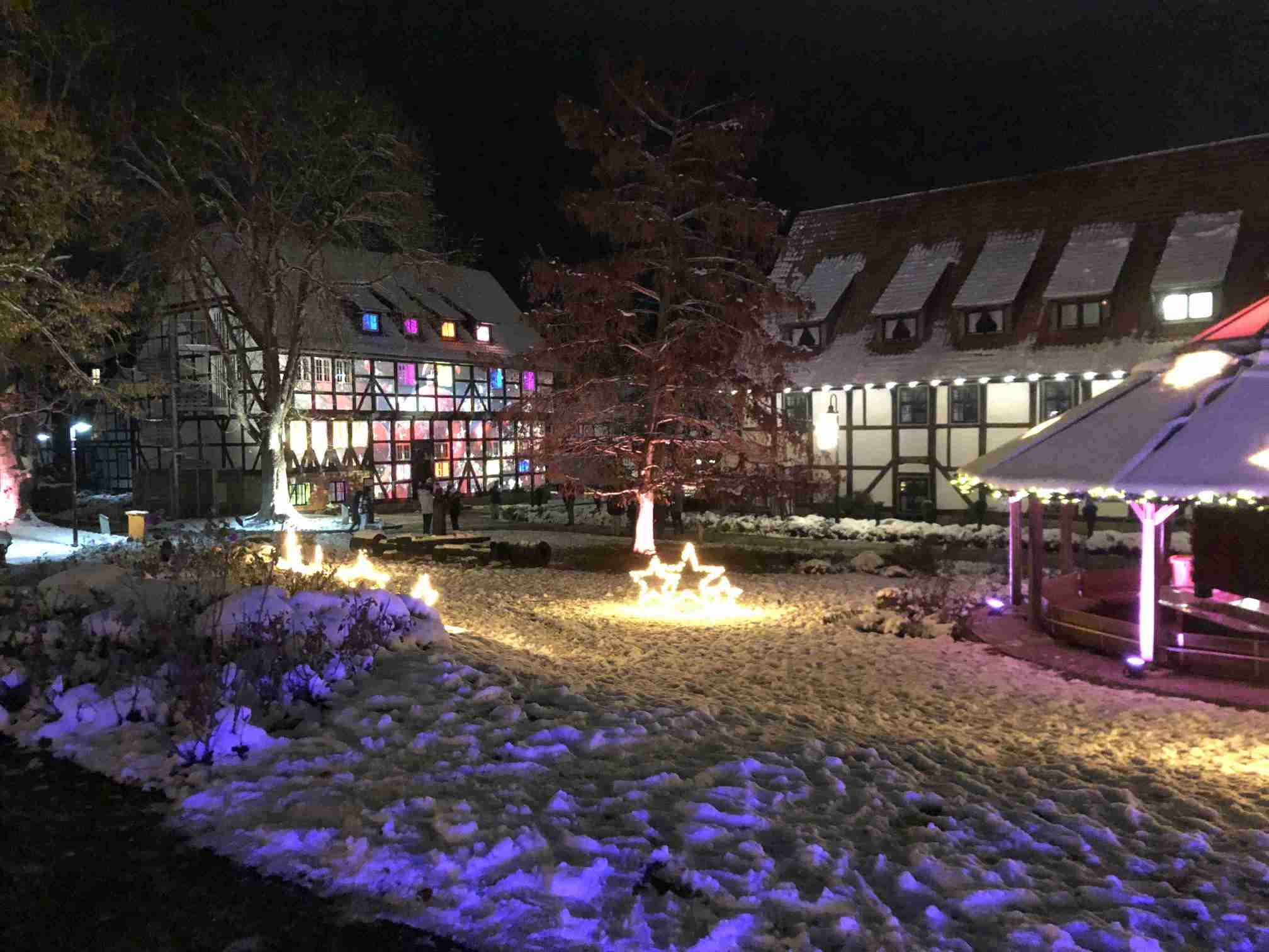 Rosengarten Salzgitter-Bad im Winter 2023