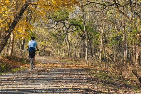 Fahrradfahrer im Wald